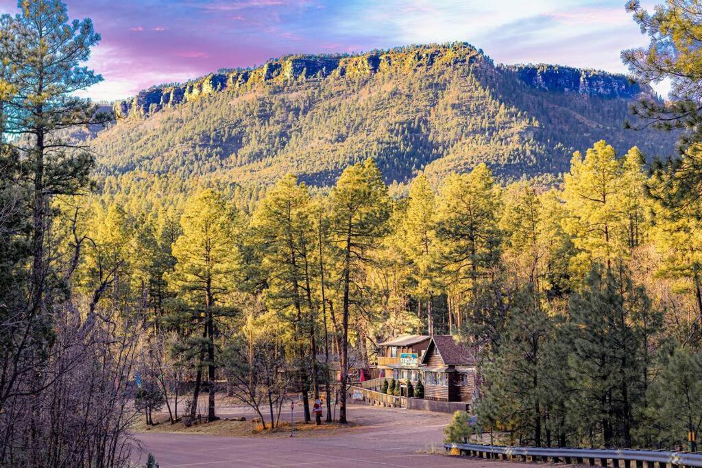 Villa Forest Cabin 6 Enchanted Forest à Payson Extérieur photo